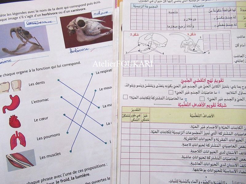 モロッコ小学生・理科の教科書